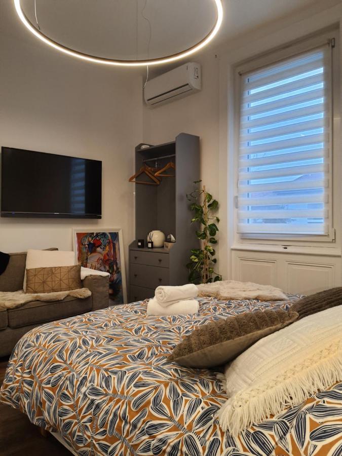 Hote Stephanois Studio, Parking& Borne Electrique Σαιντ-Ετιέν Εξωτερικό φωτογραφία