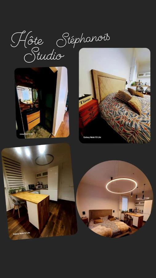 Hote Stephanois Studio, Parking& Borne Electrique Σαιντ-Ετιέν Εξωτερικό φωτογραφία